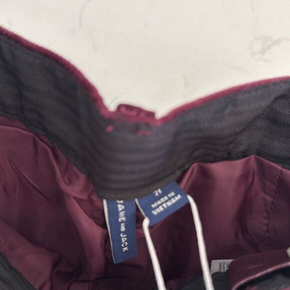 Janie and Jack The Velvet Party Pant in Burgundy Size 2T - Picture 3 of 5